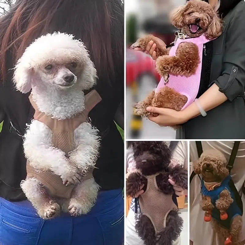Portable Breathable Pet Carrier Backpack for Dogs and Cats, Double Shoulder Mesh Design, Perfect for Outdoor Activities, Durable and Lightweight Construction