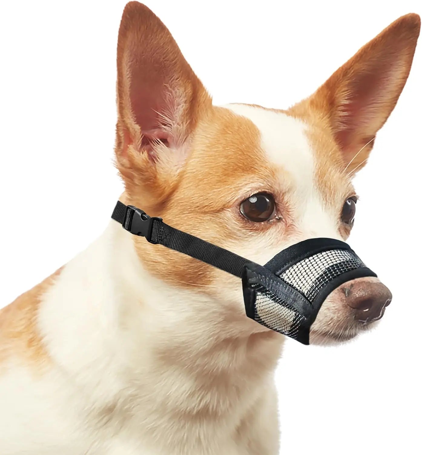 Adjustable Air Mesh Dog Muzzle for Various Breeds | Prevents Biting, Scavenging, Licking, and Chewing