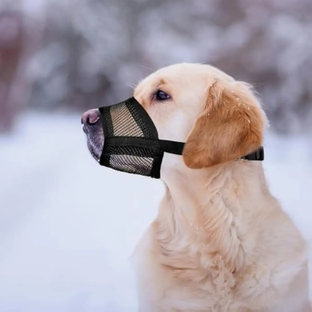 Adjustable Air Mesh Dog Muzzle for Various Breeds | Prevents Biting, Scavenging, Licking, and Chewing