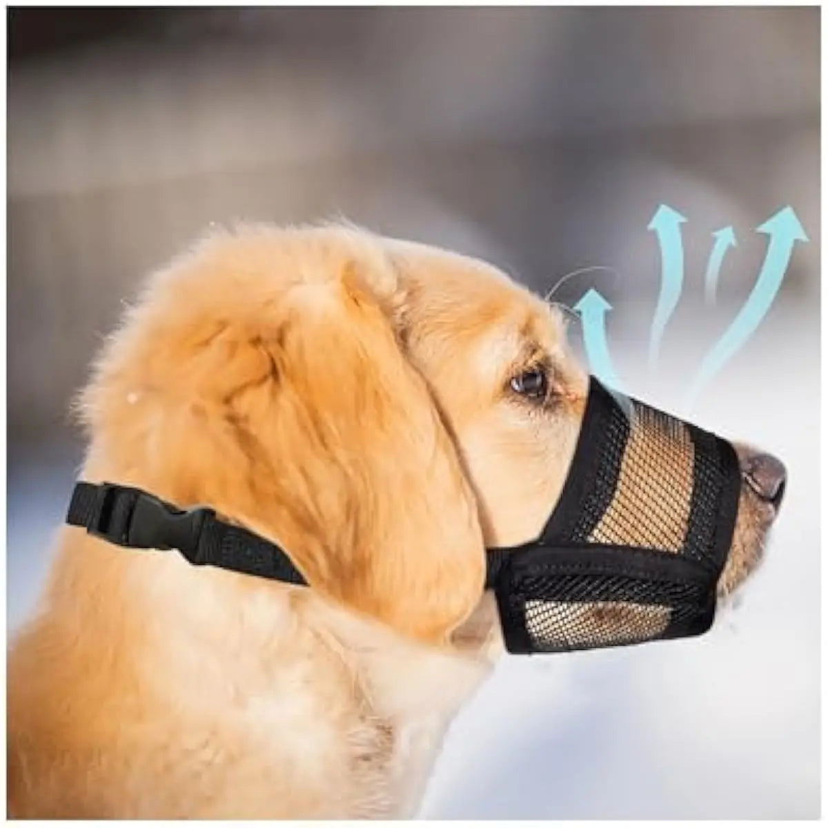 Adjustable Air Mesh Dog Muzzle for Various Breeds | Prevents Biting, Scavenging, Licking, and Chewing