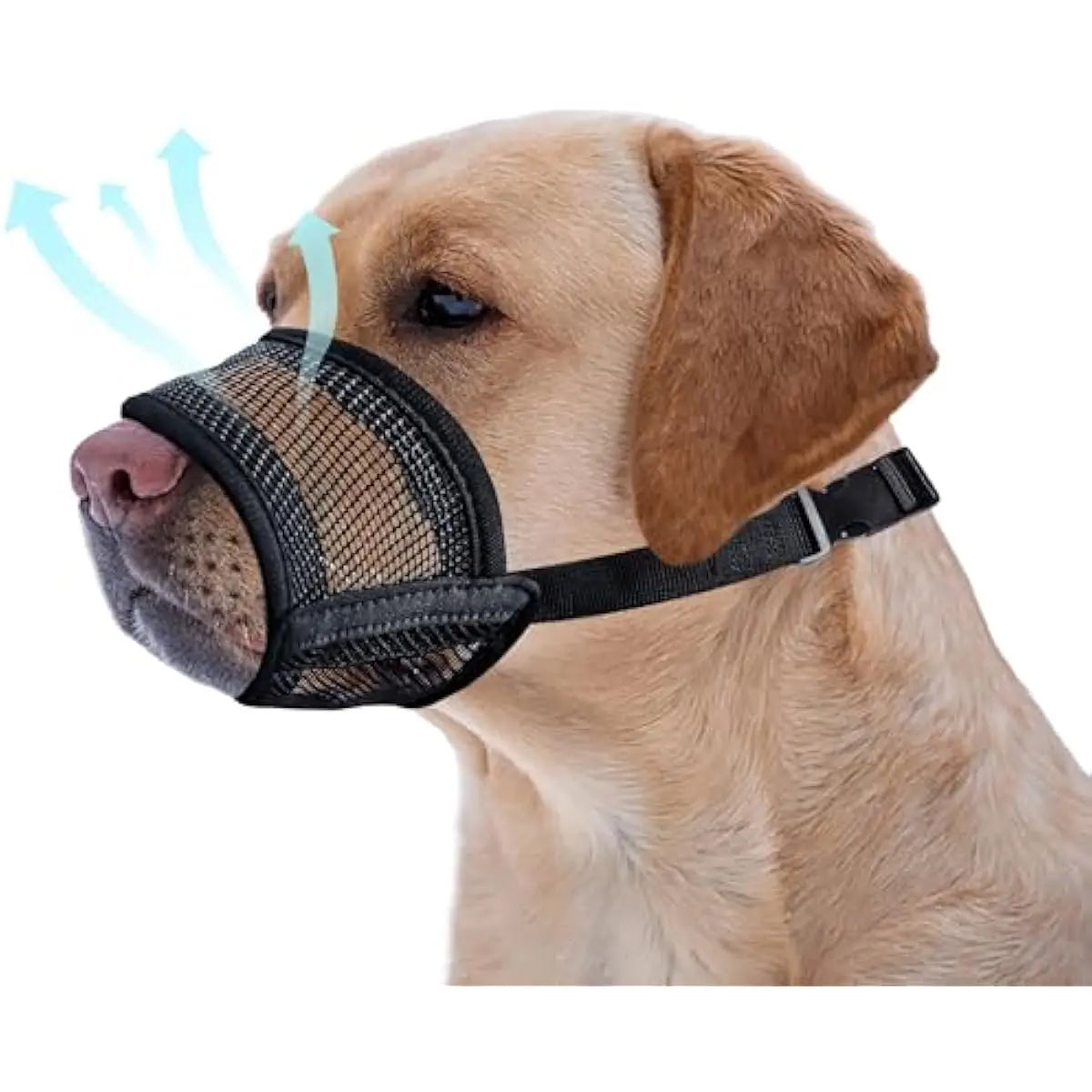 Adjustable Air Mesh Dog Muzzle for Various Breeds | Prevents Biting, Scavenging, Licking, and Chewing