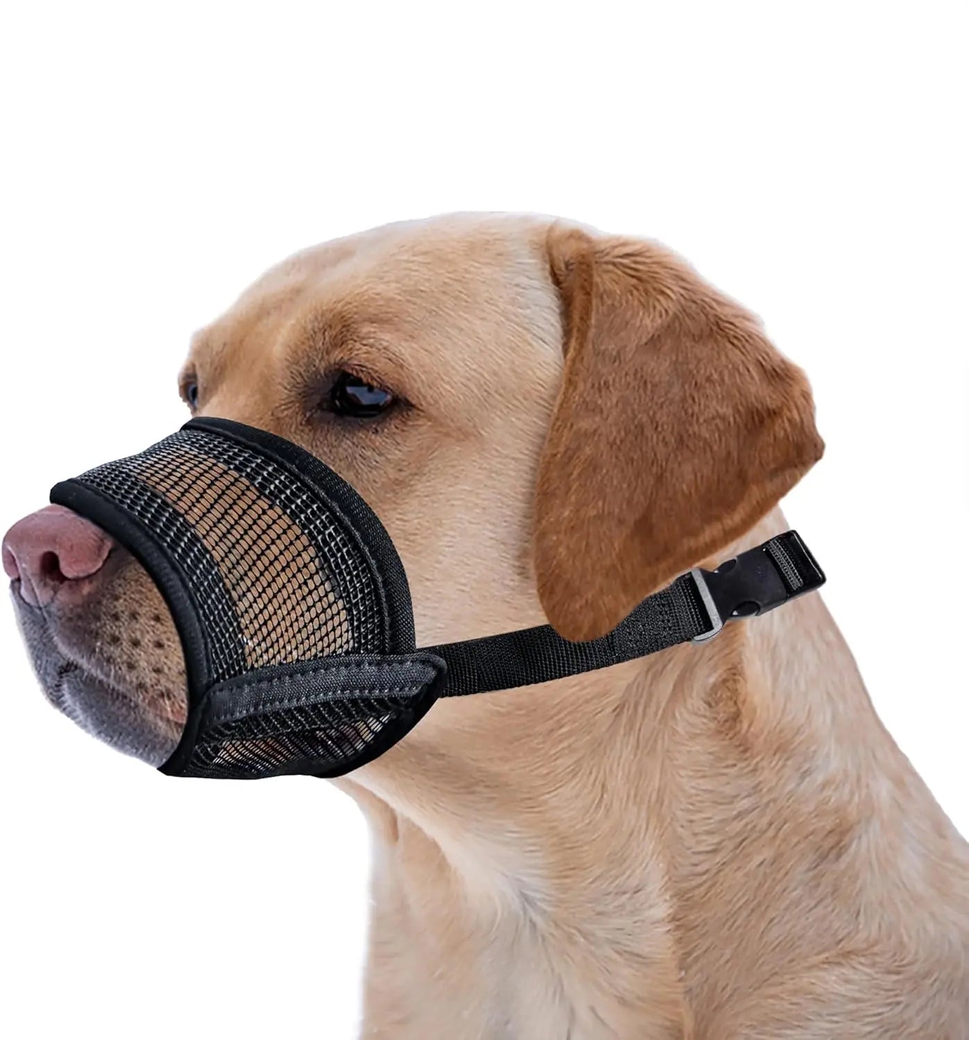 Adjustable Air Mesh Dog Muzzle for Various Breeds | Prevents Biting, Scavenging, Licking, and Chewing